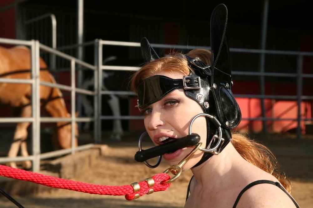 12P LESBIAN PONY CLUB 1