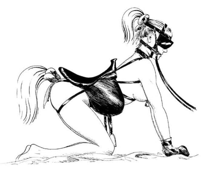 12P PONY CLUB 2
