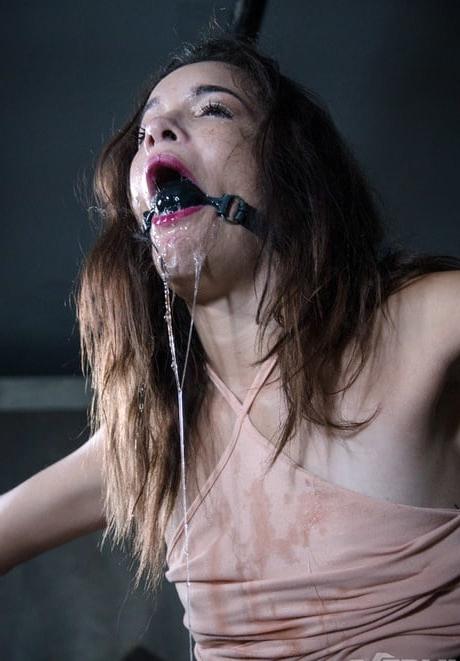 25P BDSM