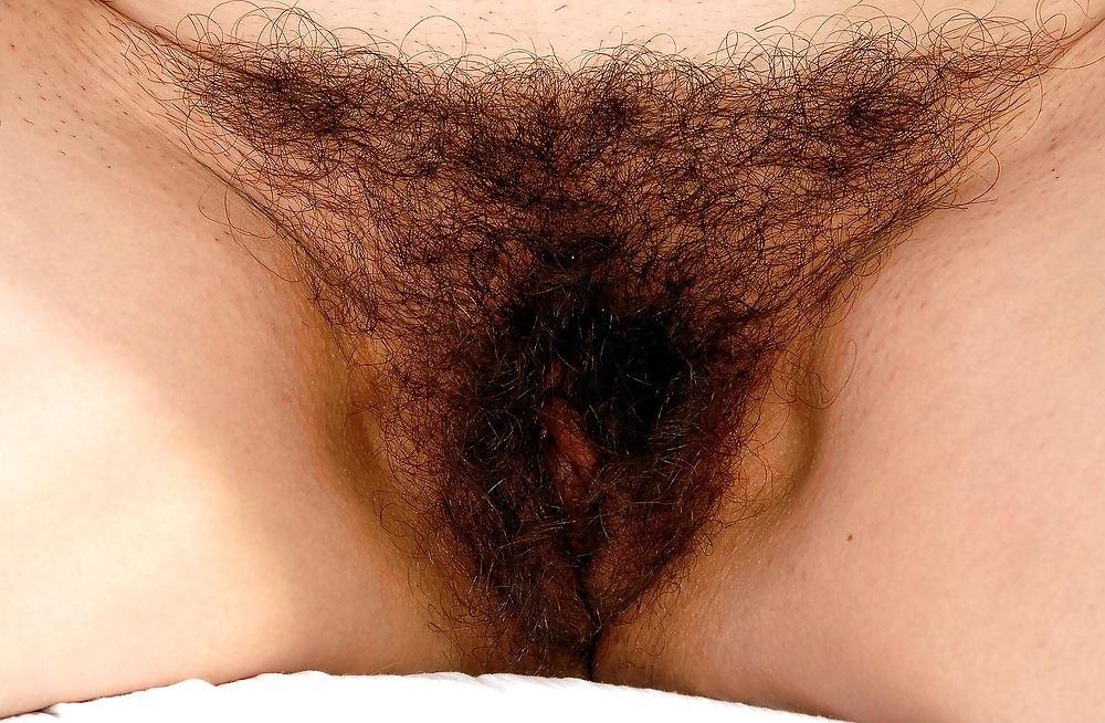 11P Mature Hairy 3 - Jotha Hele