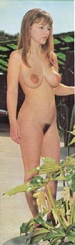 13P Nudist