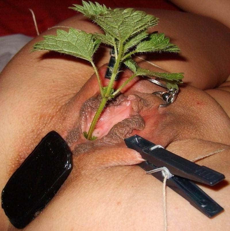 25P BDSM mix 43