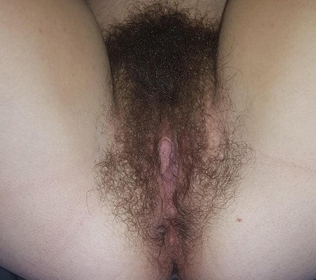 25P Hairy Pussy 2