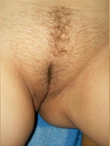 19P Hairy Pussy