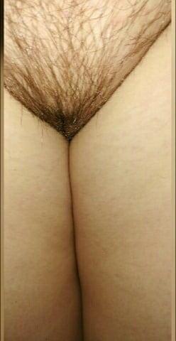 19P Hairy Pussy
