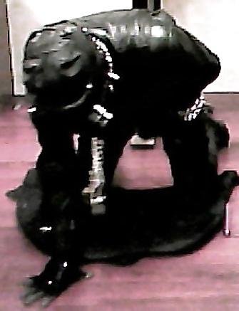 11P Leather Jerkoff Session