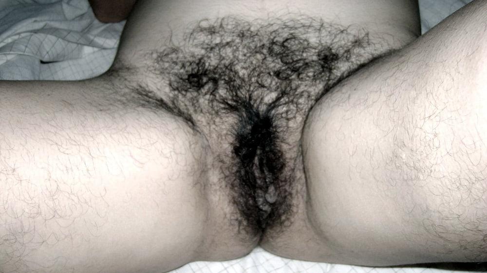 13P my hairy wife