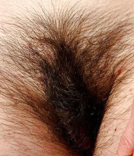 14P Pictures of hairy pussy 3