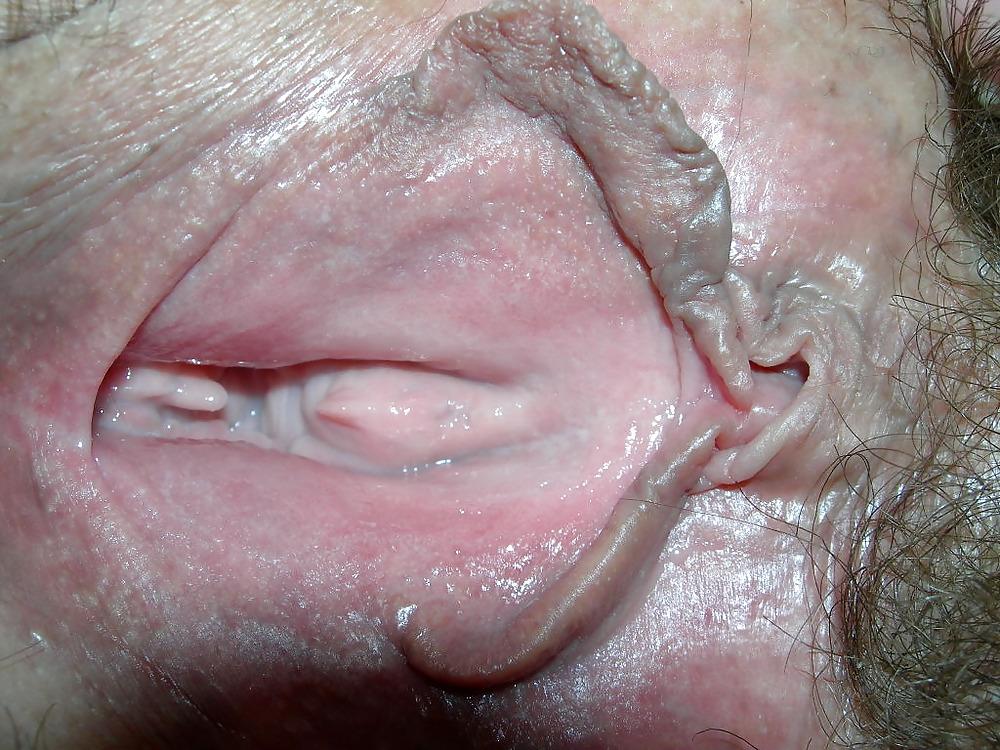 4P Hairy Pussy