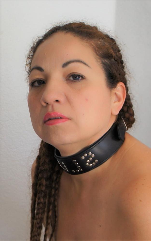 24P Paula's New Collar