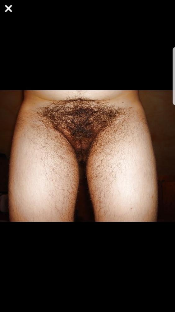 25P Meet the Bushs 103