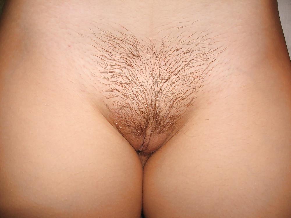 19P Teen Stubby Bush