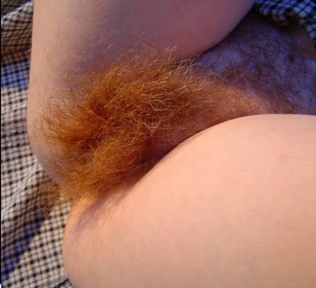 24P Hairy Red Bush, Ginger Pussy, Red Pubes 1