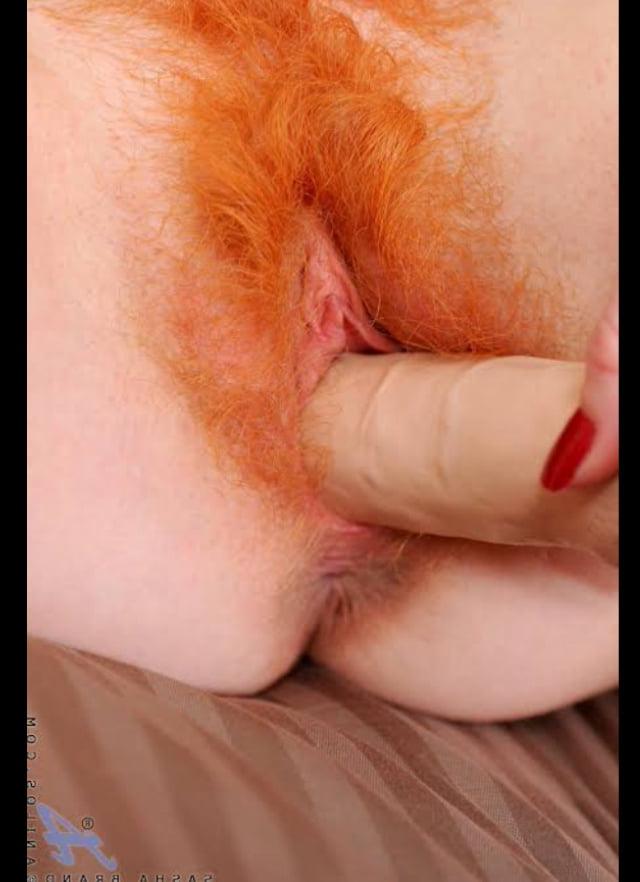 24P Hairy Red Bush, Ginger Pussy, Red Pubes 1