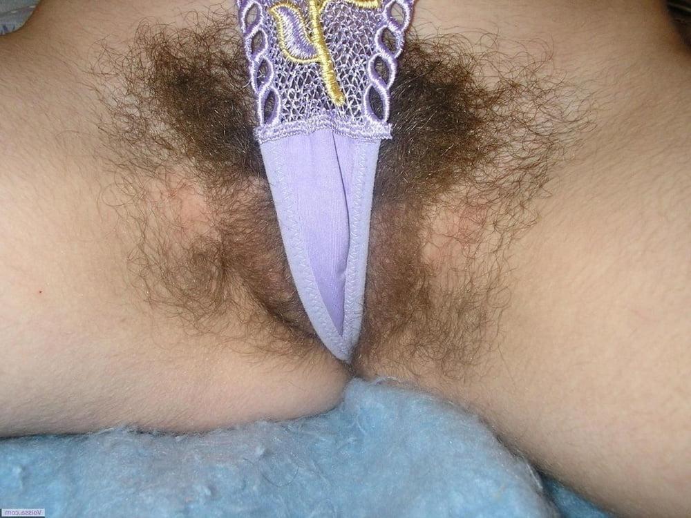 25P Ma chatte poilue deborde de culotte vol.4 (hairy panties)