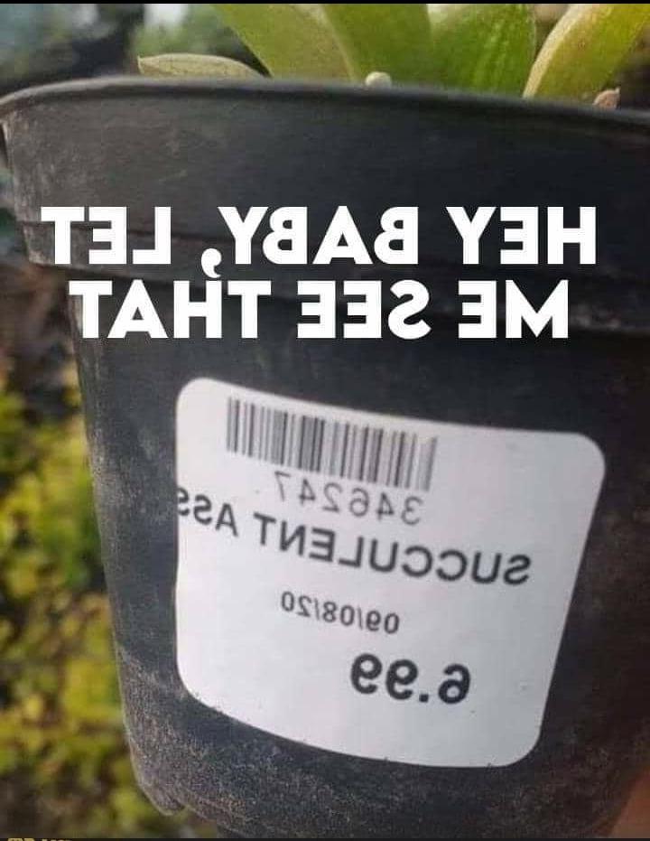 25P ME, MYSELF AND I