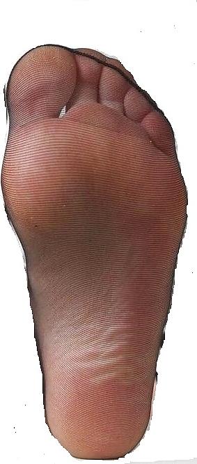 25P Nylon foot love