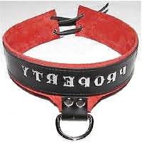 25P Collar 2