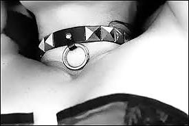 25P Collar 2