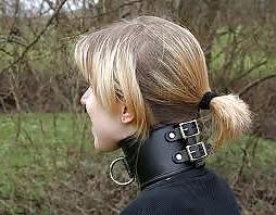25P Collar 2