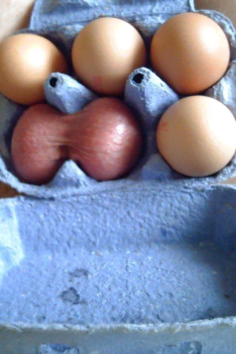 25P My funny and sexy stuff 6 (schizmxxx)