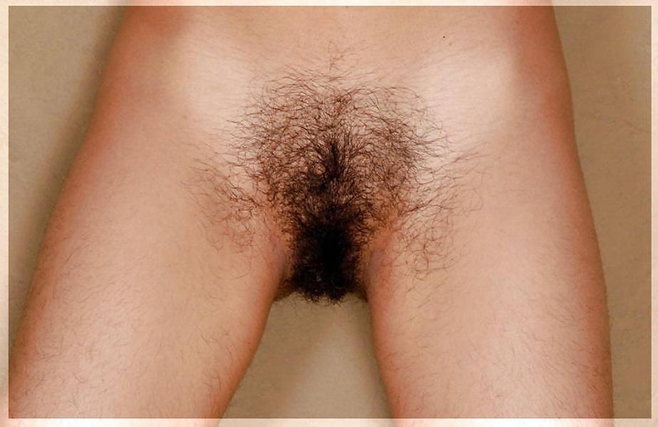25P Only Hairy Pussy