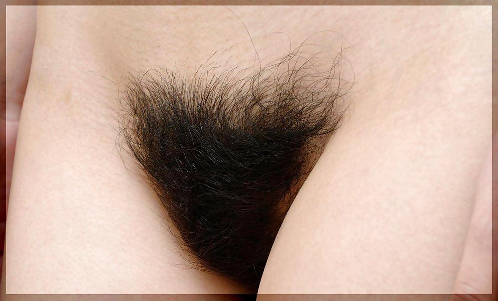 25P Only Hairy Pussy