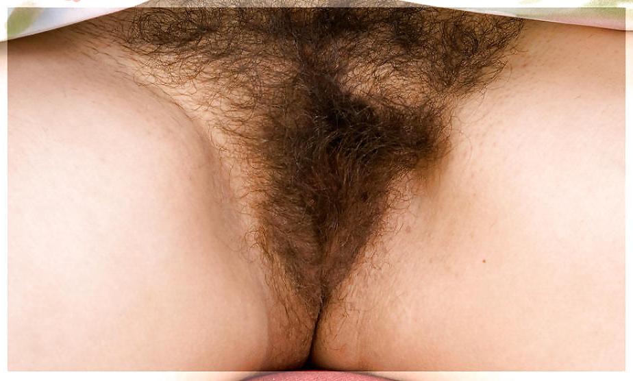 25P Only Hairy Pussy