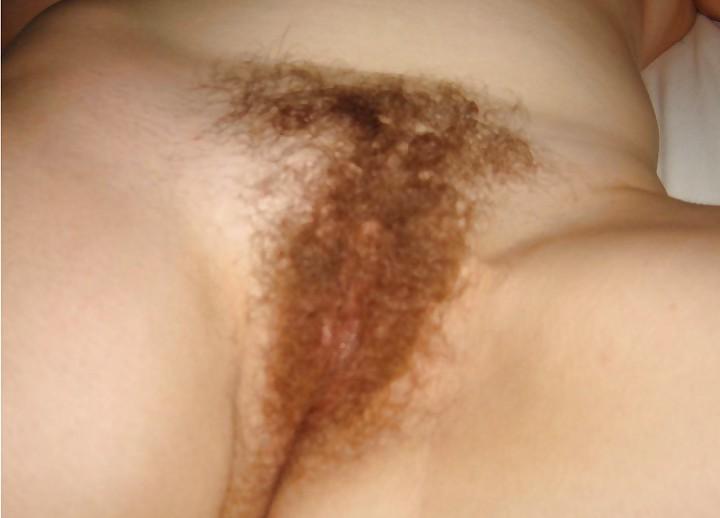 18P More Hairy Pussy