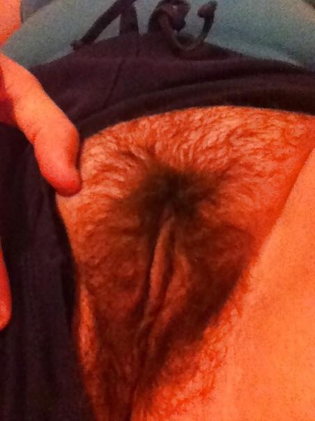 18P More Hairy Pussy