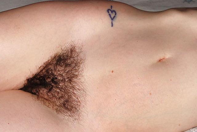 18P More Hairy Pussy
