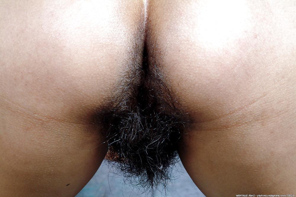 10P Young hairy girls showing their muffs.