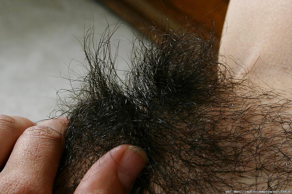 10P Young hairy girls showing their muffs.
