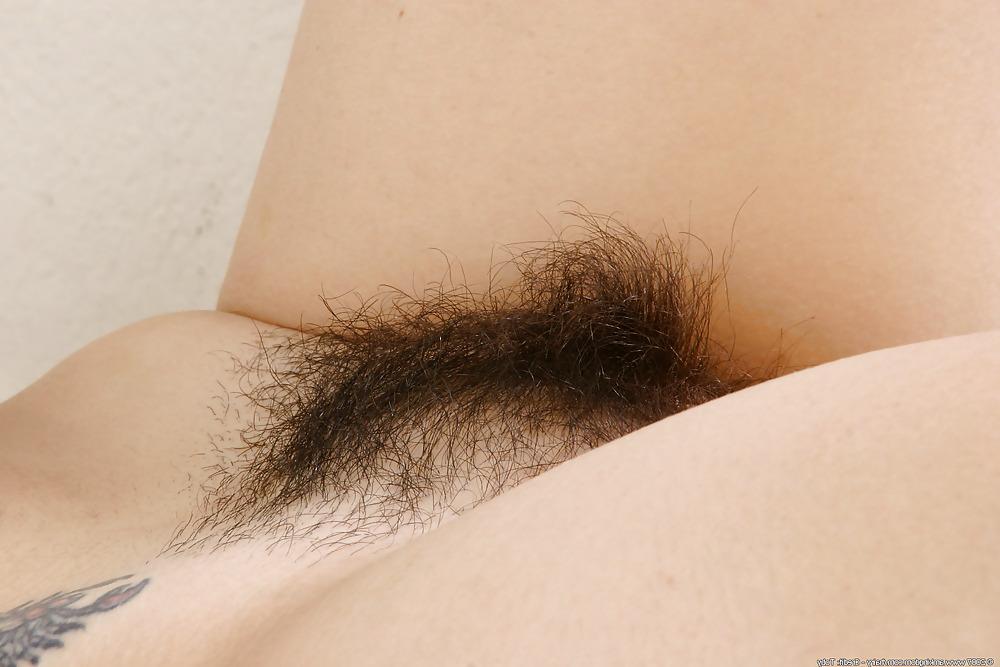 10P Young hairy girls showing their muffs.