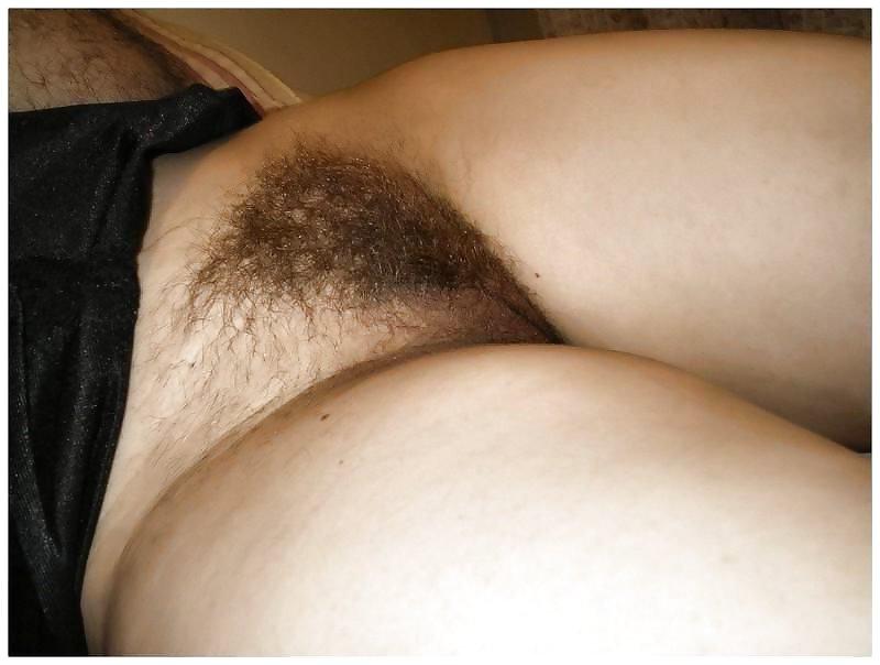 25P Hairy Bush #6