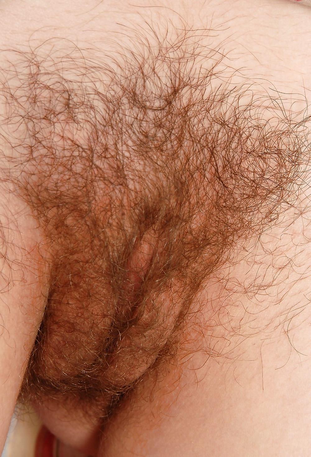 25P HAIRY PUSSIES