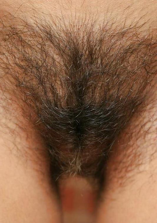 25P HAIRY PUSSIES