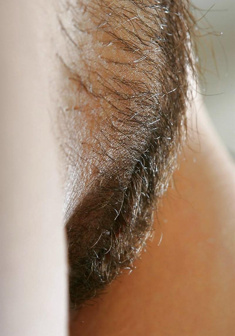 25P HAIRY PUSSIES