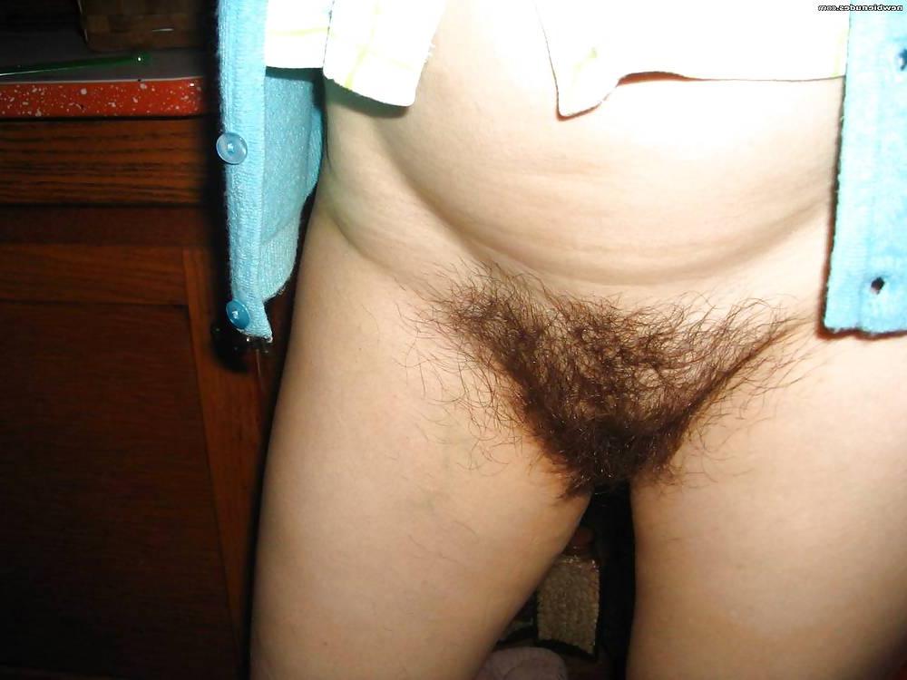 25P Hairy Bush #2