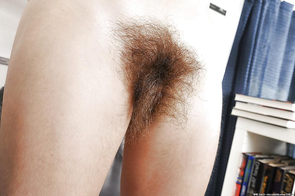 25P Hairy Bush #2