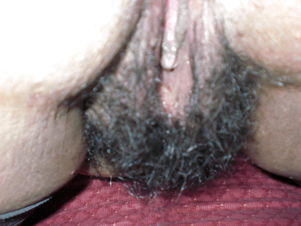 12P Hairy Mexican Pussy 2