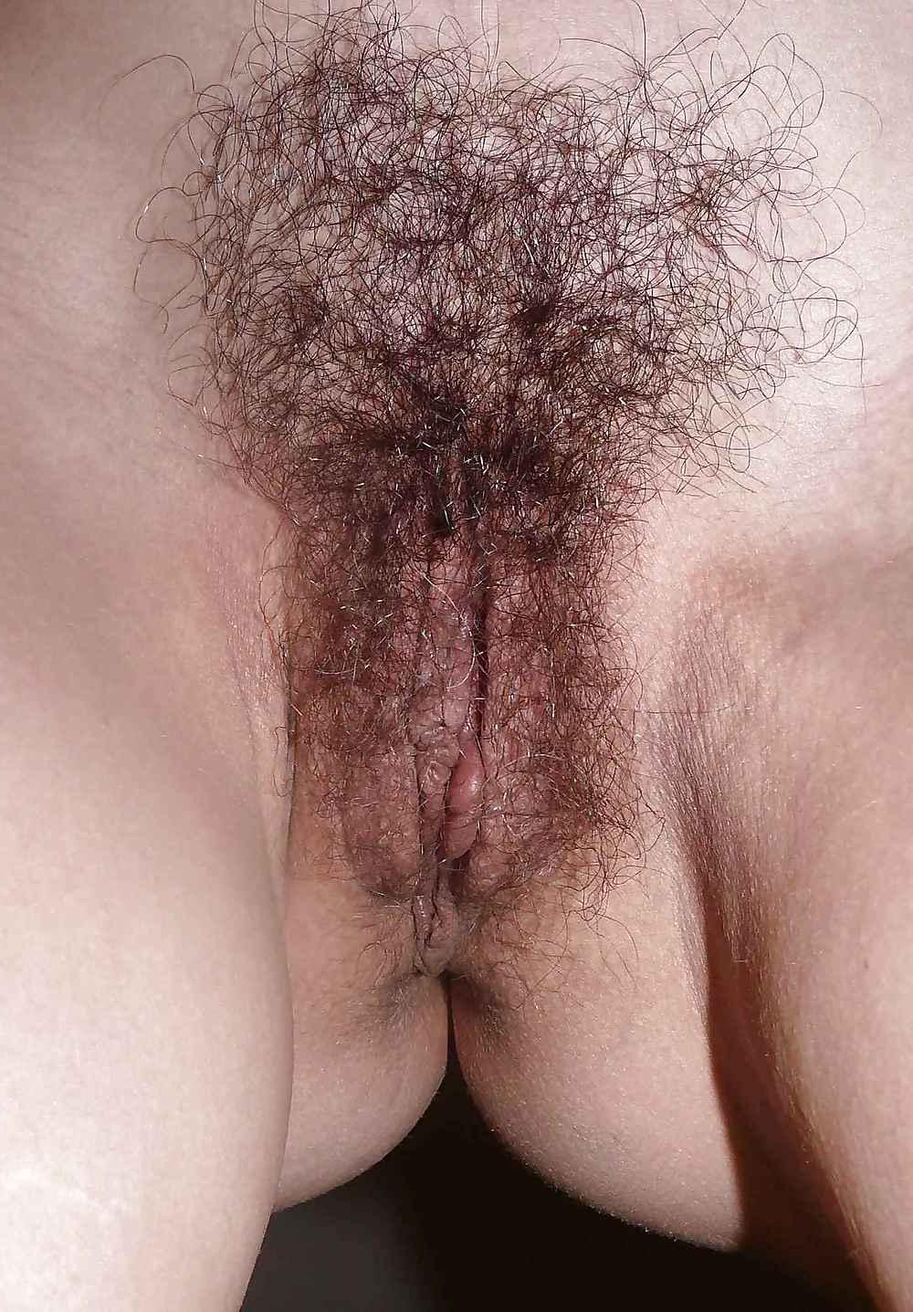 4P New pictures of my hairy pussy and natural tits