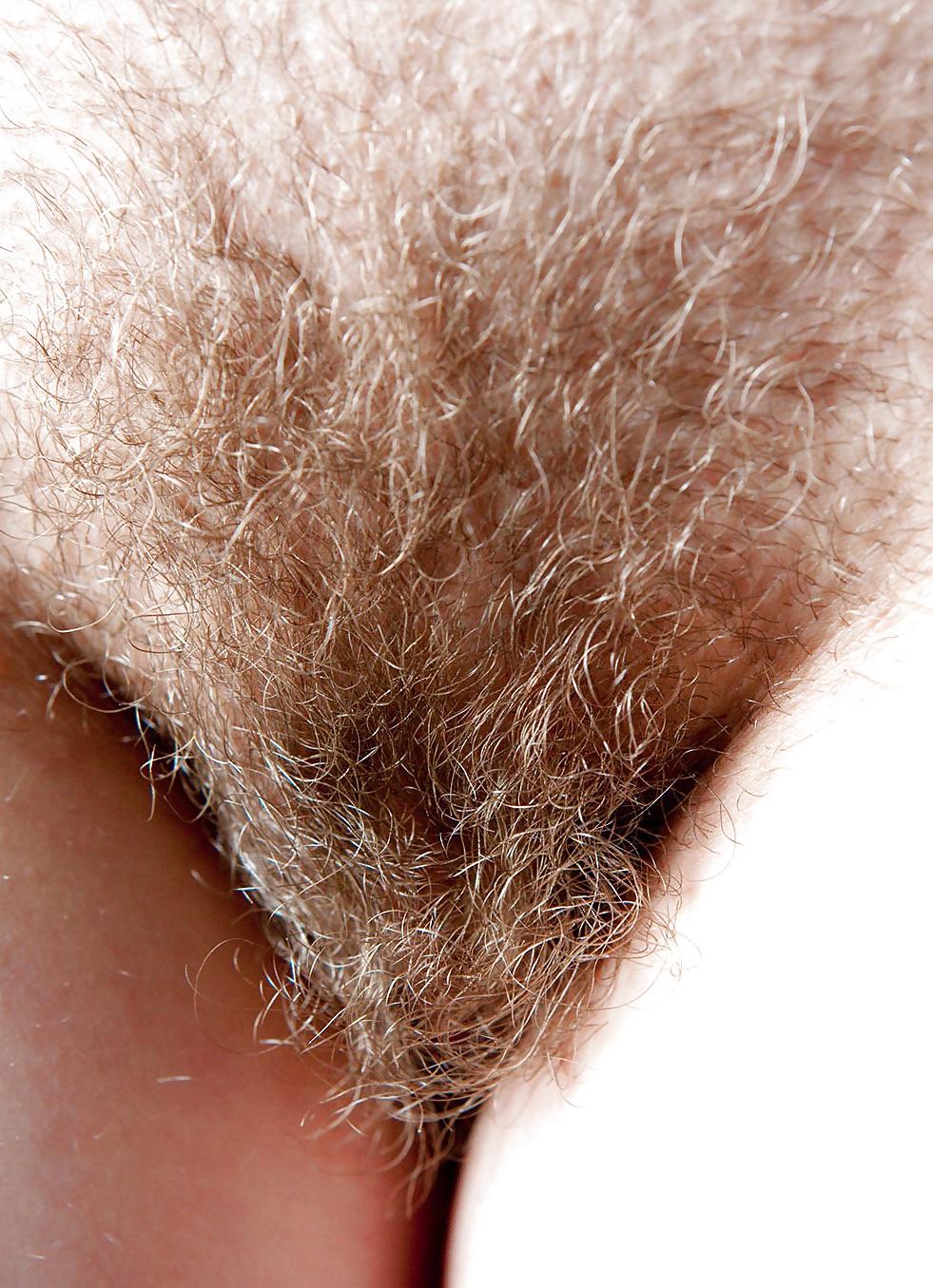 24P Hairy Pussy for Dessert