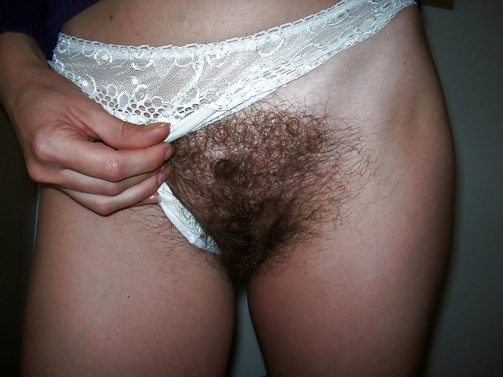 12P Hairy pussy in panties.