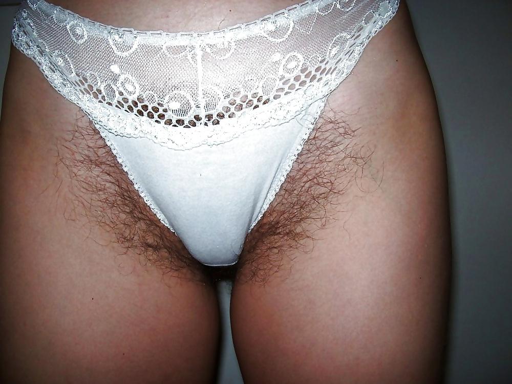 12P Hairy pussy in panties.