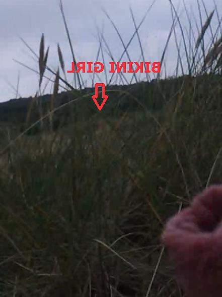 6P Public beach flash cum