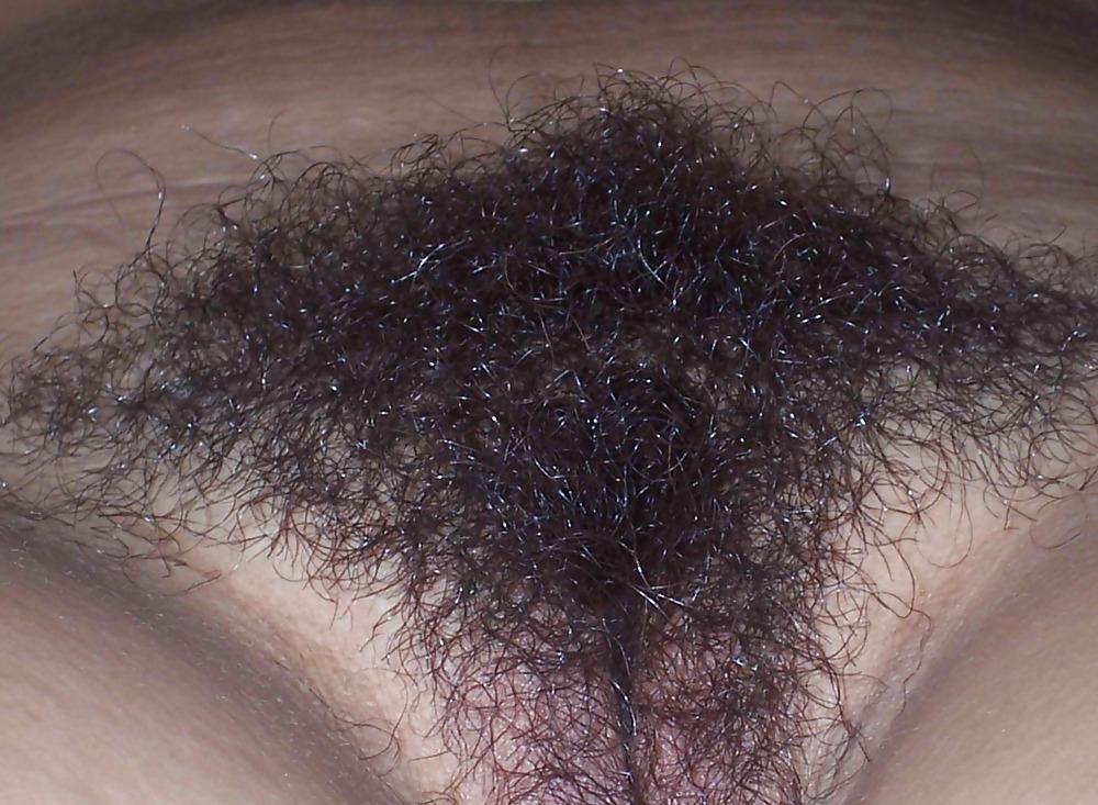 25P Beautiful Hairy Bush!