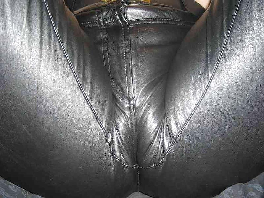15P Asses in leather 