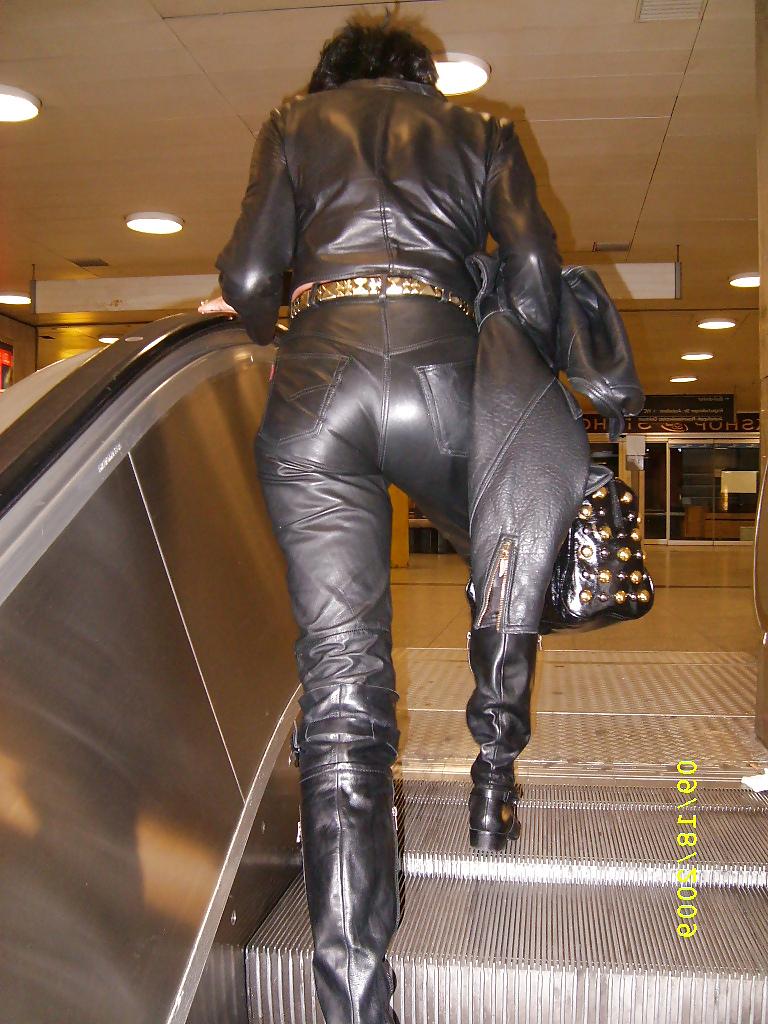 15P Asses in leather 