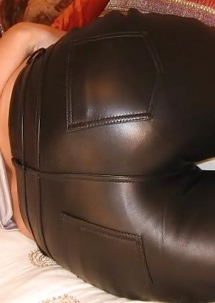 15P Asses in leather 